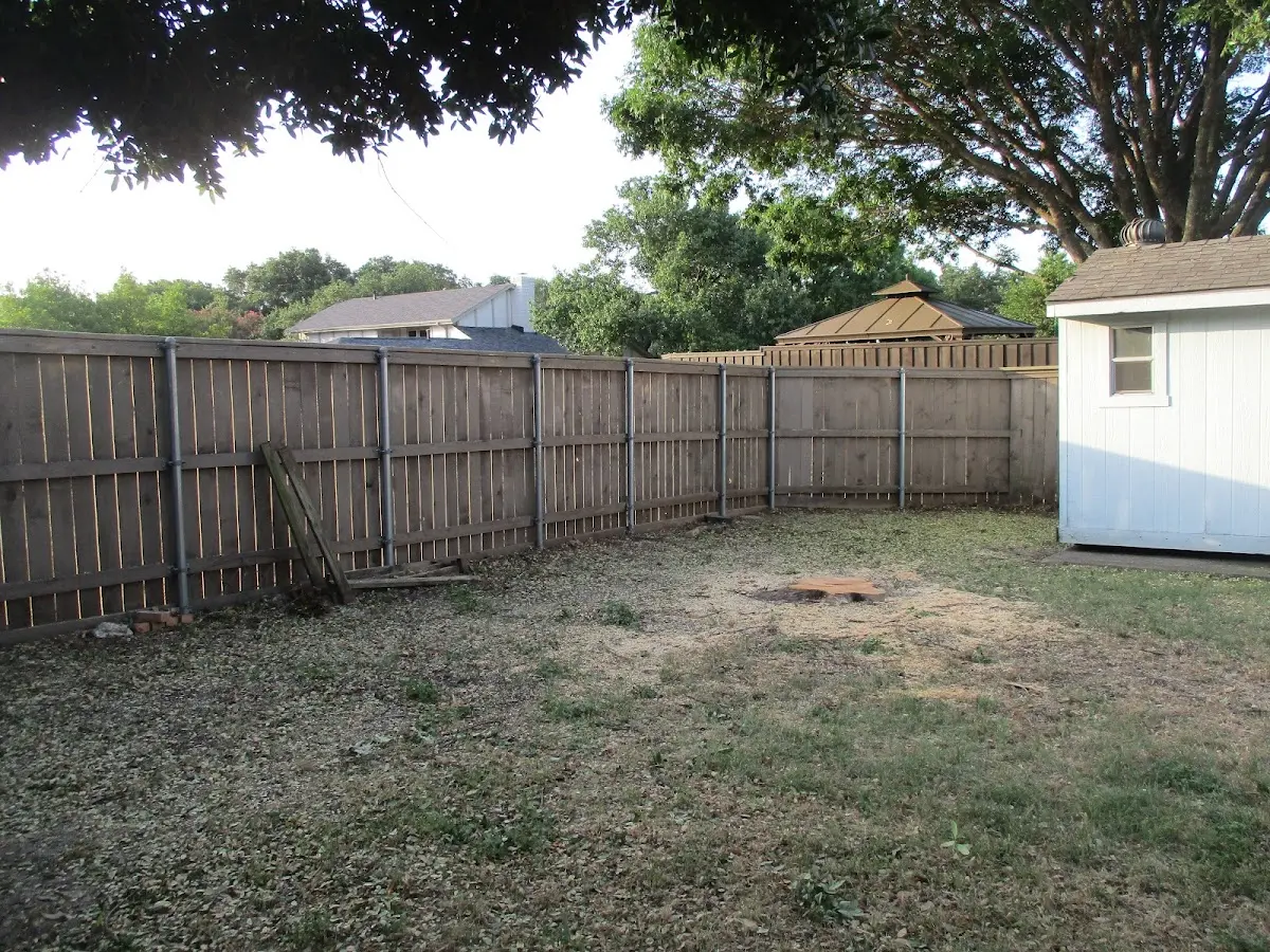 Cleared yard after professional tree removal in Neffs